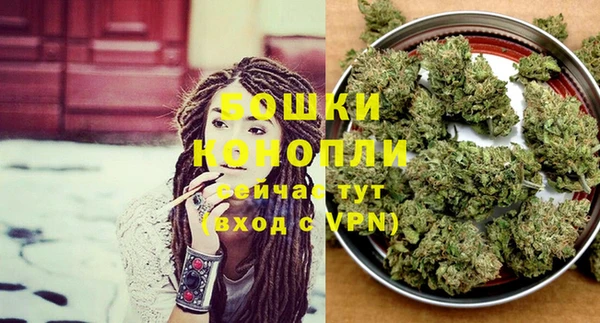 мдпв Вяземский