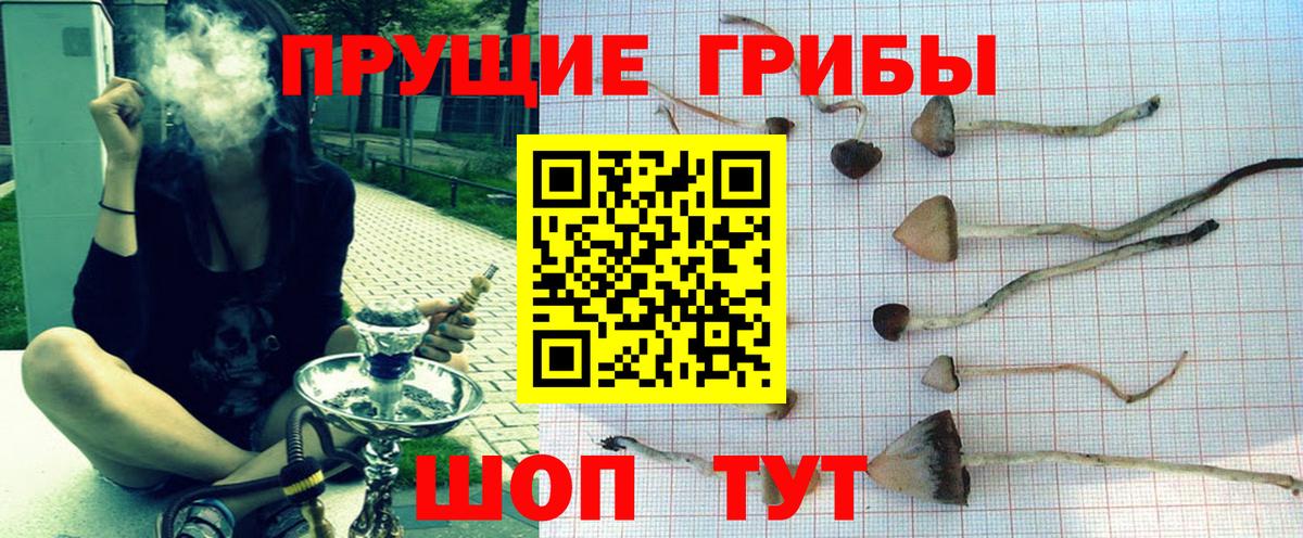 Псилоцибиновые грибы мухоморы  Зерноград 